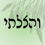והצלתי