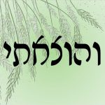 והוצאתי