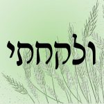 ולקחתי