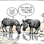מישל קישקה, קריקטורה זברות