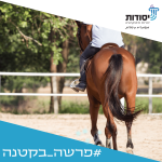 איש על סוס