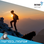 ויצא